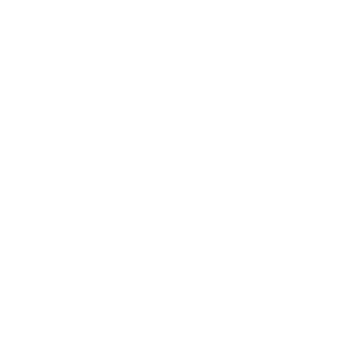 Create custom landing pages or websites tailored to your business needs