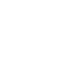 Workforce Analytics & Reporting